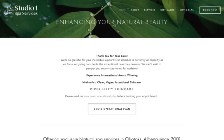 Studio 1 Spa Services, spas in Okotoks